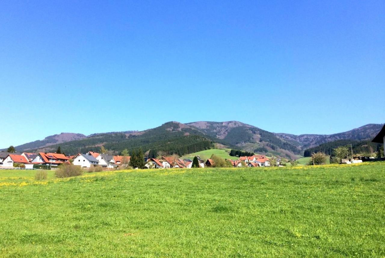 Дом в черном лесу!Gemütliches Haus im Herzen des Schwarzwaldes Elzach Exterior foto