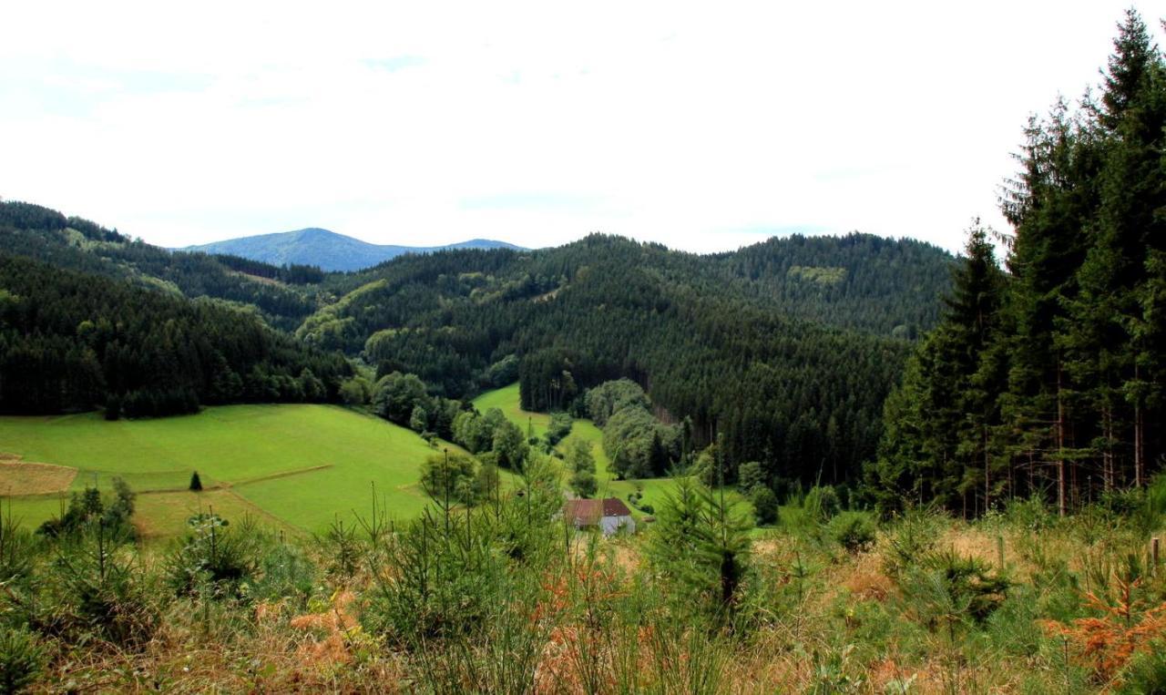 Дом в черном лесу!Gemütliches Haus im Herzen des Schwarzwaldes Elzach Exterior foto