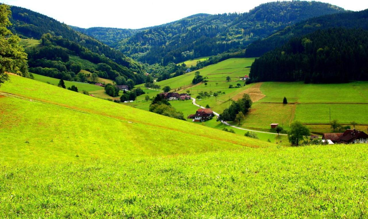 Дом в черном лесу!Gemütliches Haus im Herzen des Schwarzwaldes Elzach Exterior foto